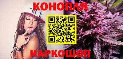 стафф Лесосибирск