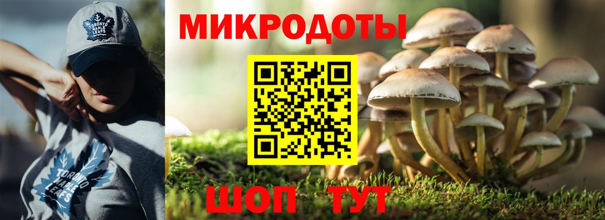 Псилоцибиновые грибы ЛСД  Вход с VPN  Шали 